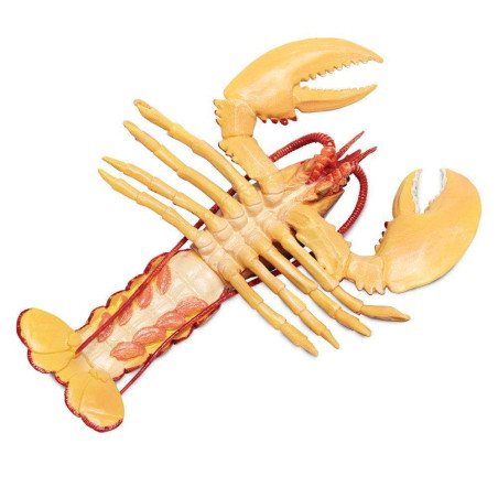 Figurine Homard - Safari Ltd® 281629 | Jouet réaliste | Matériel pédagogiqueAnimaux Montessori