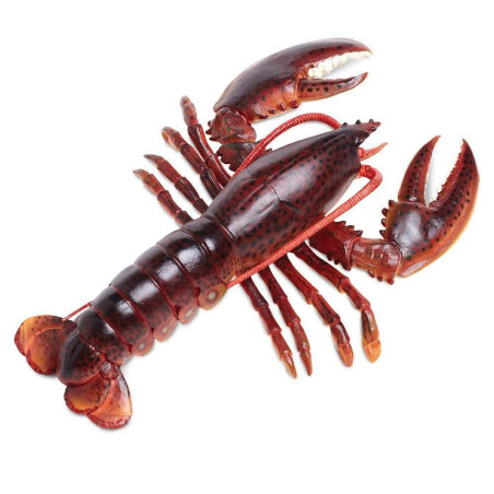 Figurine Homard - Safari Ltd® 281629 | Jouet réaliste | Matériel pédagogiqueAnimaux Montessori