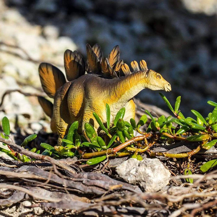 Figurine Stegosaurus - Jouet Dinosaure Safari 100299
