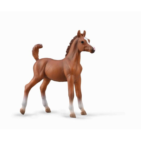 Poulain Arabe CollectA robe Chestnut - Jouet figurine bébé cheval 88992
