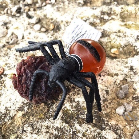 Figurine CollectA fourmi pot de miel - Little Wonders - Insectes 88990