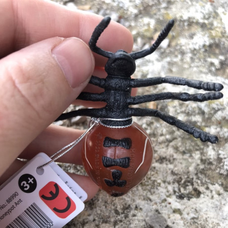 Figurine CollectA fourmi pot de miel - Little Wonders - Insectes 88990