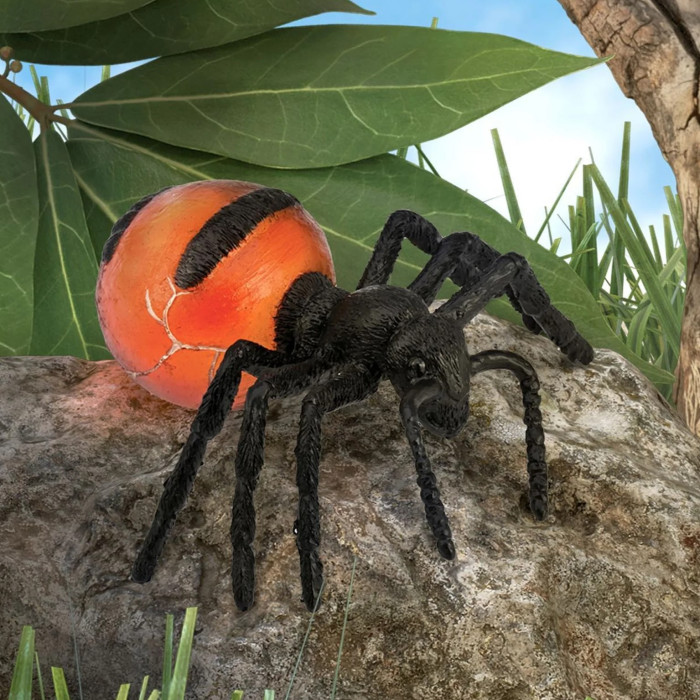 Figurine CollectA fourmi pot de miel - Little Wonders - Insectes 88990