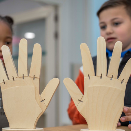ensemble-mains-bois-calcul-comptage-doigts
