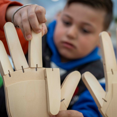 ensemble-mains-bois-calcul-comptage-doigts