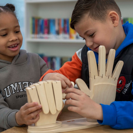 ensemble-mains-bois-calcul-comptage-doigts