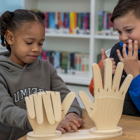 ensemble-mains-bois-calcul-comptage-doigts