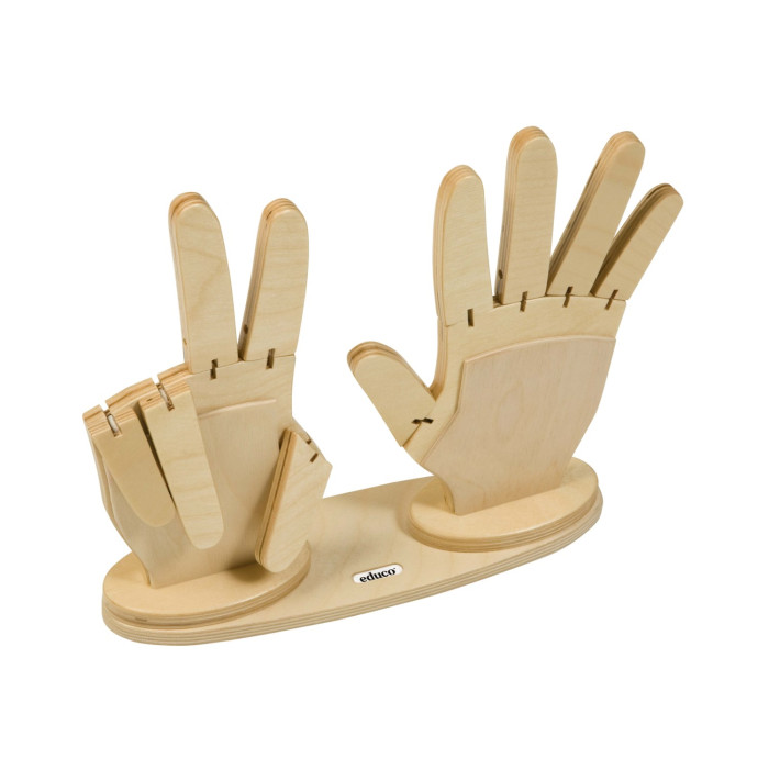 ensemble-mains-bois-calcul-comptage-doigts