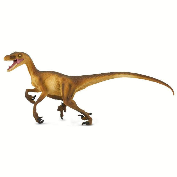 Figurine Vélociraptor – Préhistoire et dinosaure - Safari Ltd® 299929 | Jouet réaliste | Matériel pédagogiqueAnimaux M
