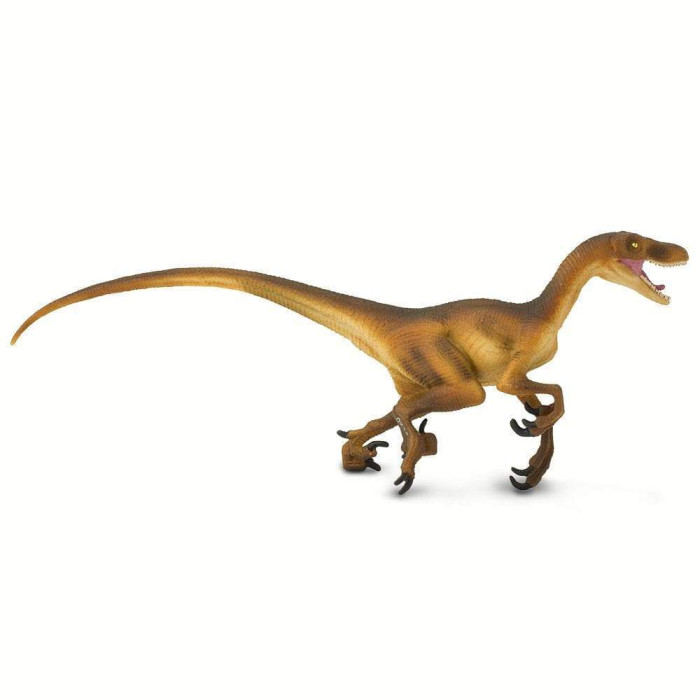 Figurine Vélociraptor – Préhistoire et dinosaure - Safari Ltd® 299929 | Jouet réaliste | Matériel pédagogiqueAnimaux M