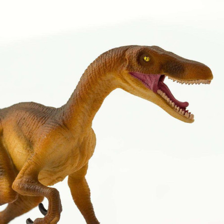 Figurine Vélociraptor – Préhistoire et dinosaure - Safari Ltd® 299929 | Jouet réaliste | Matériel pédagogiqueAnimaux M