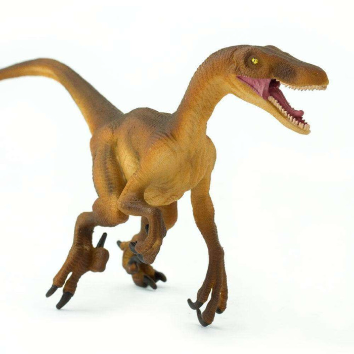 Figurine Vélociraptor – Préhistoire et dinosaure - Safari Ltd® 299929 | Jouet réaliste | Matériel pédagogiqueAnimaux M