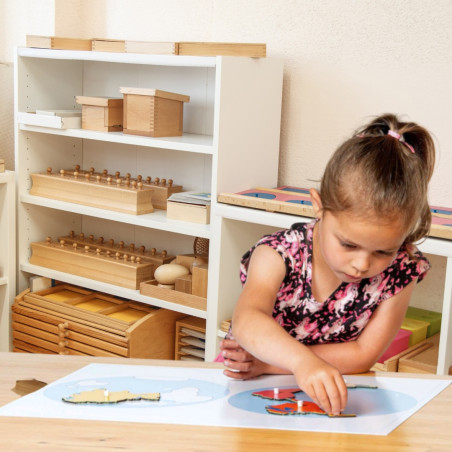 Carte de Contrôle Planisphère Montessori Nienhuis | Les Minis