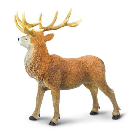 Figurine Cerf Élaphe Safari Ltd - Immersion dans la Faune Eurasiatique