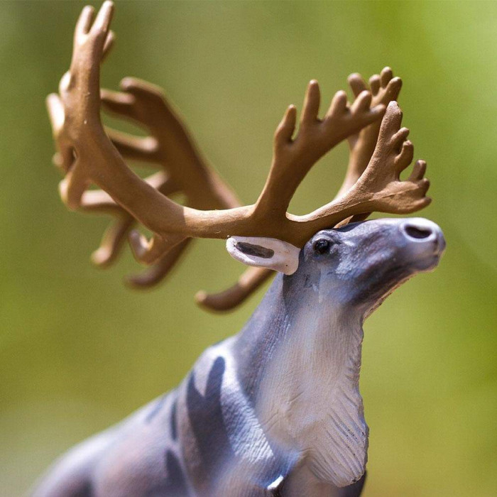 Renne Sauvage - Figurine Safari Ltd 182229 - Symbole des Toundras Arctiques