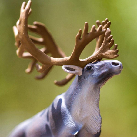 Renne Sauvage - Figurine Safari Ltd 182229 - Symbole des Toundras Arctiques