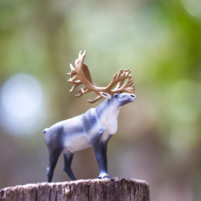 Renne Sauvage - Figurine Safari Ltd 182229 - Symbole des Toundras Arctiques