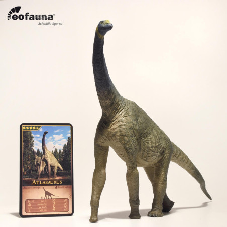 Figurine Atlasaurus EoFauna : Un Neosauropode Primitif - Animaux de la Préhistoire