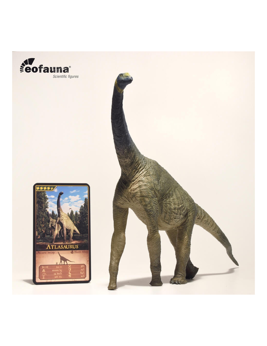 Figurine Atlasaurus EoFauna : Un Neosauropode Primitif - Animaux de la ...