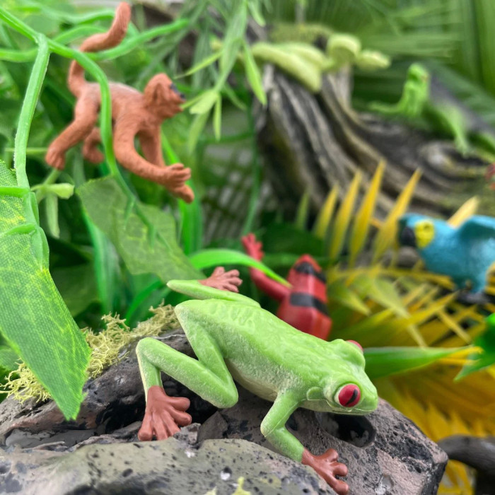 Ensemble de figurines - Collection d'animaux de forêt tropicale