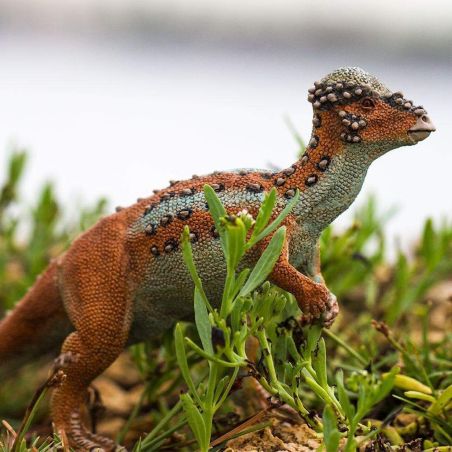 Figurine Pachycephalosaurus - Jouet dinosaure Safari 100350