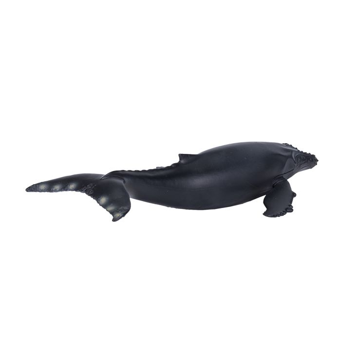 Figurine Baleine à bosse - Mojo 387119 | Matériel pédagogique | Enrichissement Montessori