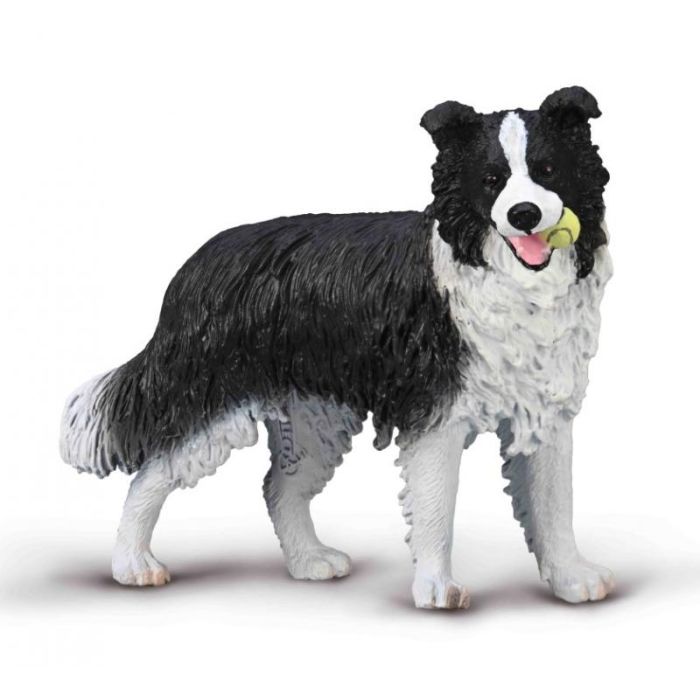Figurine Border Collie CollectA - Chien Réaliste