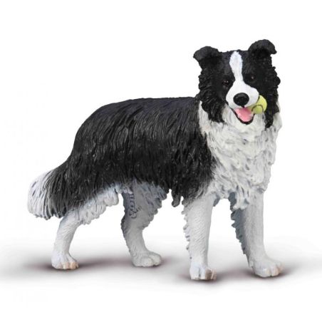 Figurine Border Collie CollectA - Chien Réaliste