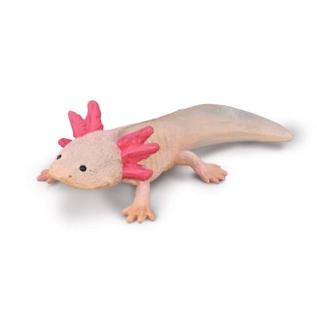 Figurine Axolotl CollectA 80015 - Amphibien Réaliste
