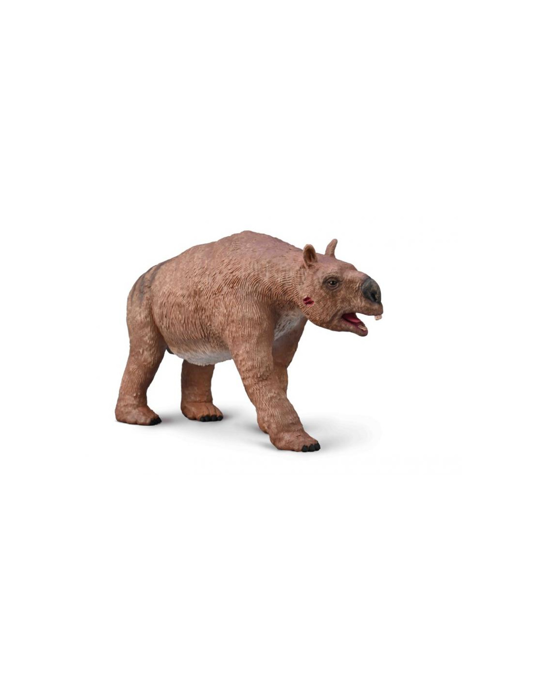 Prähistorische Figur: Pravitoceras Ammonit – Sammlerfigur Aus Der Kreidezeit