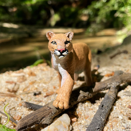 Figurine Puma Safari Ltd 100730 - Rencontre avec le Félin Sauvage