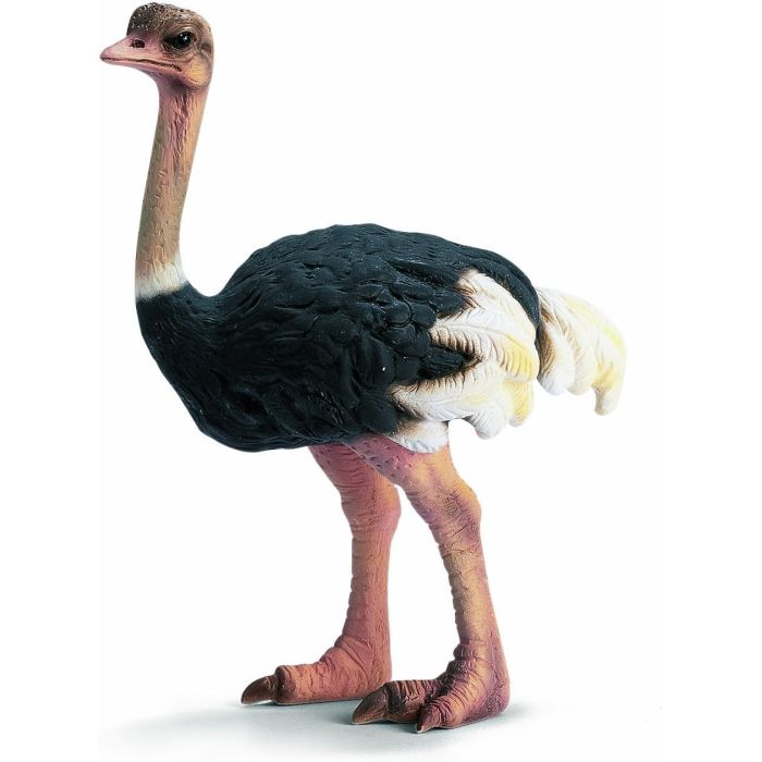 Figurine Autruche Schleich 14325 - Réaliste - 9 cm