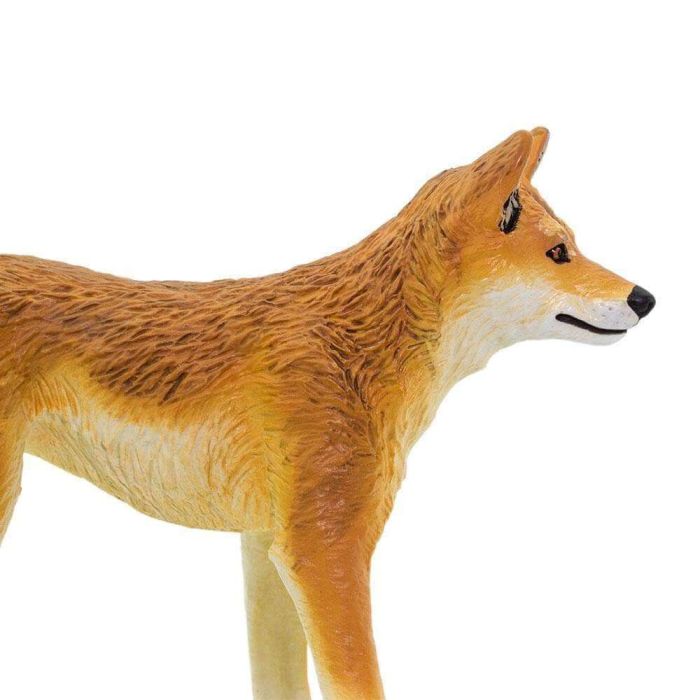 Figurine Dingo Safari Ltd 228229