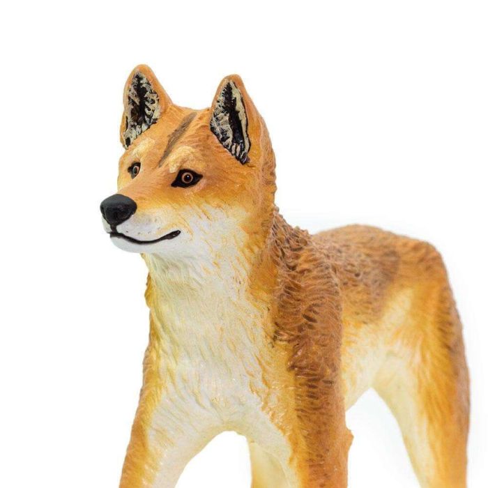 Figurine Dingo Safari Ltd 228229