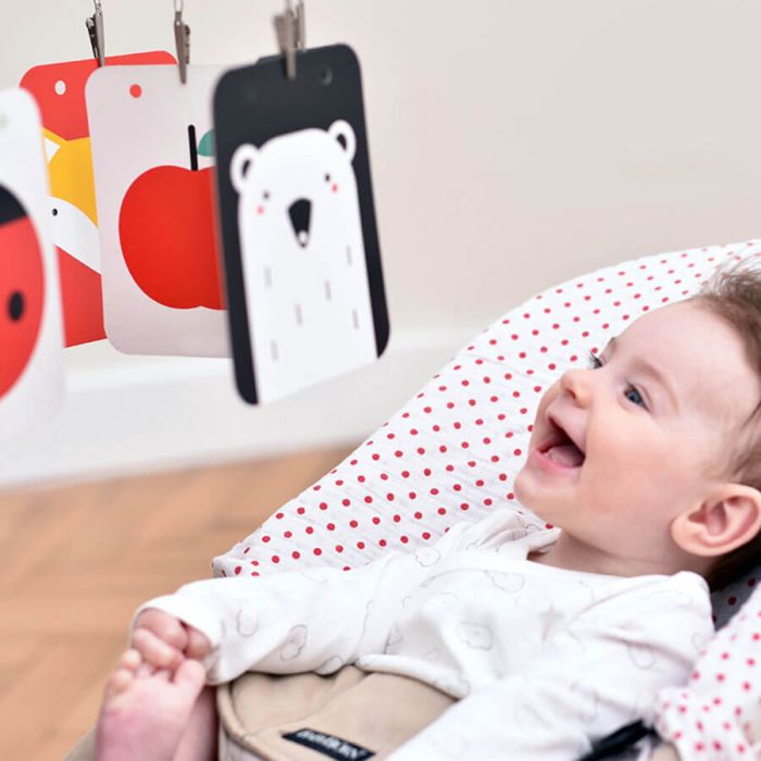 Kit d'Éveil Visuel Haut Contraste pour Bébé | Stimulez le Développement dès la Naissance