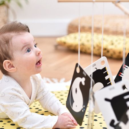 Cartes Contrastées sur Anneau pour Bébés 3m+ Banana Panda - Stimulez l'Éveil Visuel Précoce