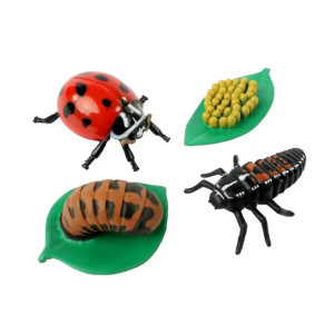 Figurines du Cycle de Vie des Coccinelles - 4 Pièces Insect Lore