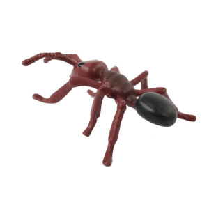Figurines du Cycle de Vie de la Fourmi - Insect Lore | Apprentissage Éducatif
