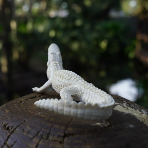 Figurine Alligator Leucistique Réaliste | Safari Ltd | Animaux Rares