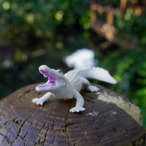 Figurine Alligator Leucistique Réaliste | Safari Ltd | Animaux Rares