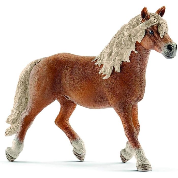 Étalon Haflinger Schleich HORSE CLUB 13813 - Découvrez l'Élégance Équestre