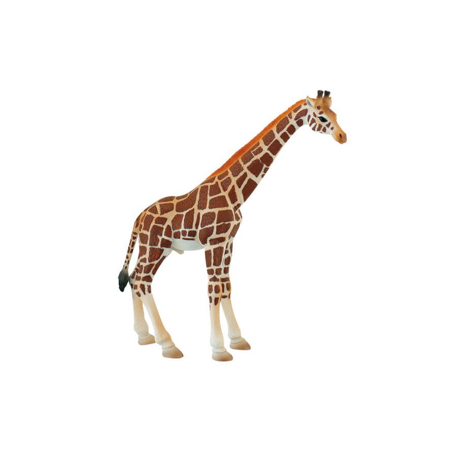 Figurines Animaux Sauvages Bullyland – Lot de 10 dès 3 ans