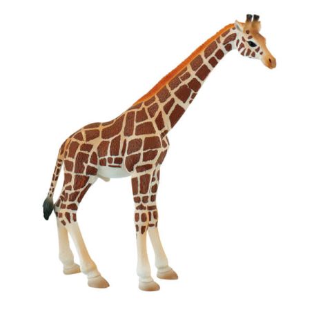 Figurines Animaux Sauvages Bullyland – Lot de 10 dès 3 ans