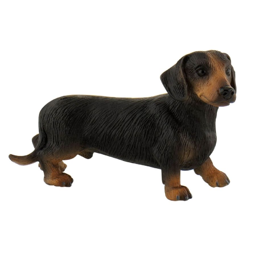 Figurine Teckel à Poil Court Apollo - Chien Bullyland : Le Petit Chasseur Courageux | LesMinis.fr