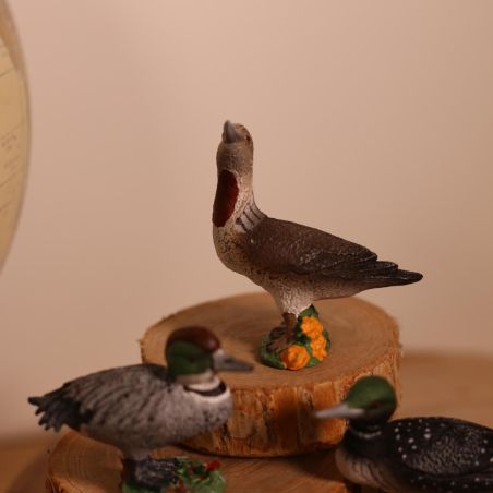 Figurine Plongeon Catmarin - Maia and Borges : L'Oiseau Aquatique Élégant | LesMinis.fr