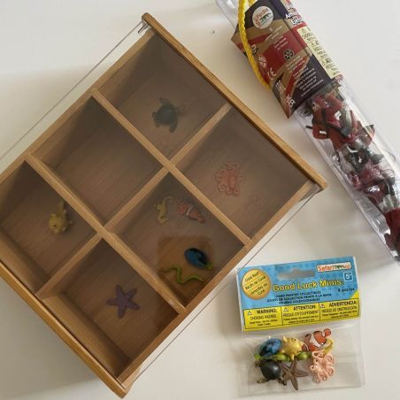 Boîte de Tri en Bambou | Rangement avec Couvercle Transparent | LesMinis