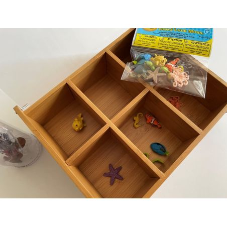 Boîte de Tri en Bambou | Rangement avec Couvercle Transparent | LesMinis