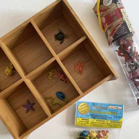 Boîte de Tri en Bambou | Rangement avec Couvercle Transparent | LesMinis