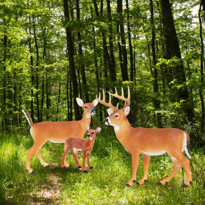 Pack Famille Cerf de Virginie Safari Ltd - Trio Forestier Réaliste