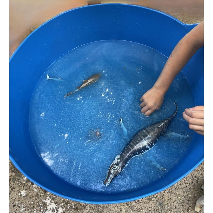 Bac Sensoriel Souple 35L | Jeux d'Eau et de Sable | LesMinis